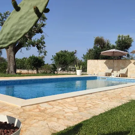 Libellula - The Fab *