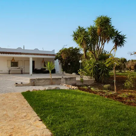 Libellula - The Fab Willa