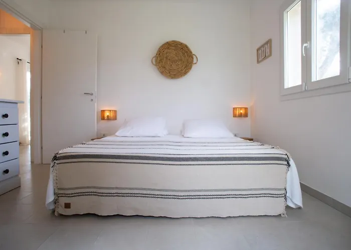 Libellula - The Fab *