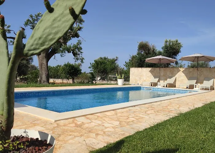 Libellula - The Fab *